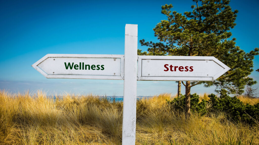 Support is the difference between wellness and stress